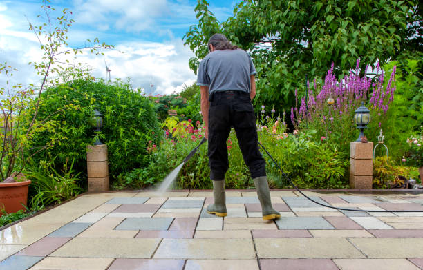 Best Sidewalk and Walkway Cleaning  in Riverside, AL